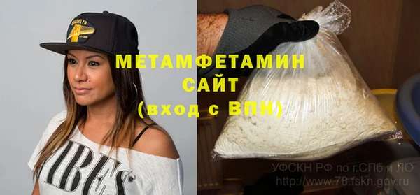 индика Гусев