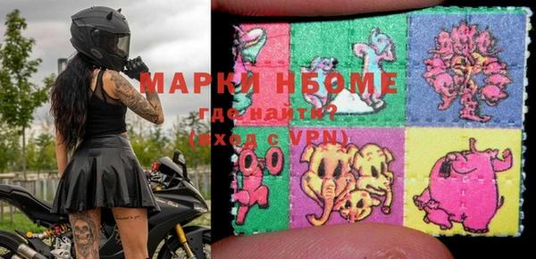 индика Гусев