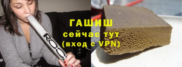 индика Гусев