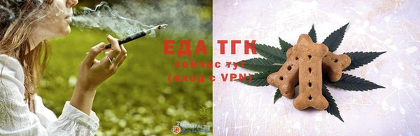 индика Гусев