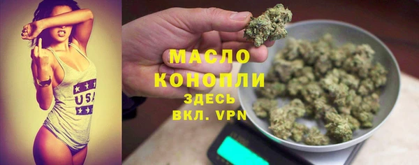 индика Гусев