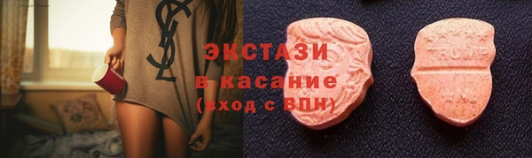 индика Гусев