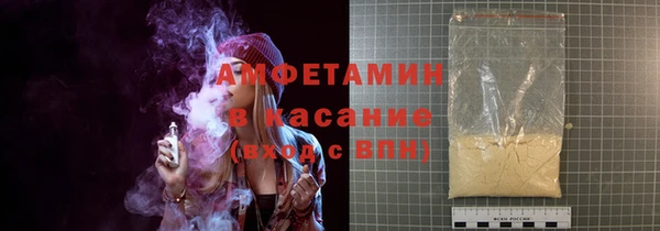 индика Гусев