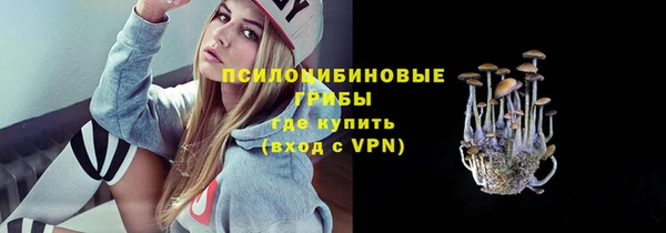 индика Гусев