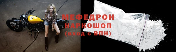 индика Гусев