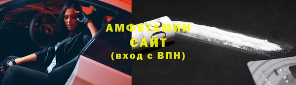 индика Гусев