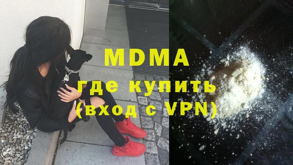 индика Гусев