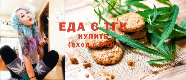 индика Гусев