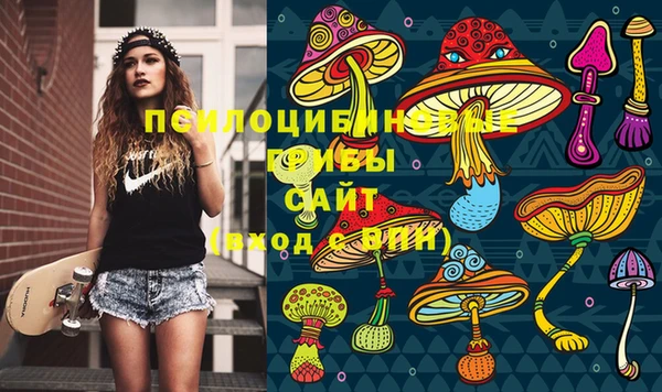 индика Гусев