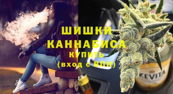 индика Гусев