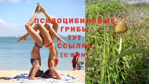 MDMA Гусиноозёрск