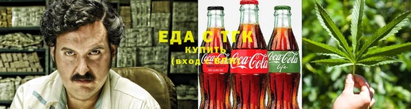 индика Гусев