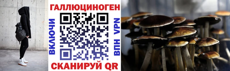 Купить где  Безенчук  Галлюциногенные грибы мухоморы 